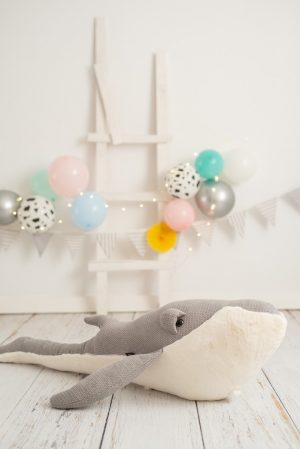 BALLENA GRIS