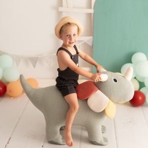 TRICERATOPS BRUTUSH PLUSH SEAT