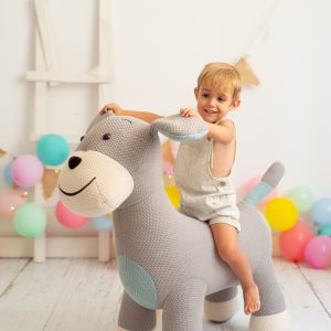 PELUCHE ASIENTO COCKER FRISKI