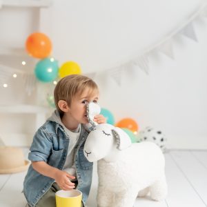 PELUCHE OVEJA LITA
